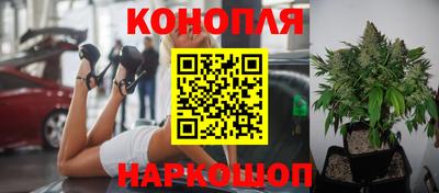 спайс Малгобек
