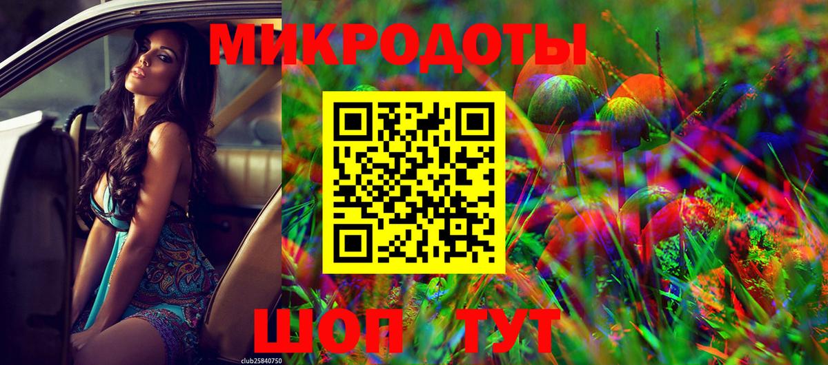 Псилоцибиновые грибы мухоморы Выборг