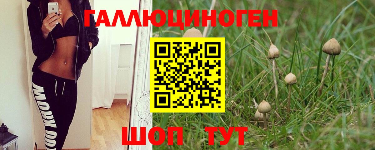 Гашиш Выборг