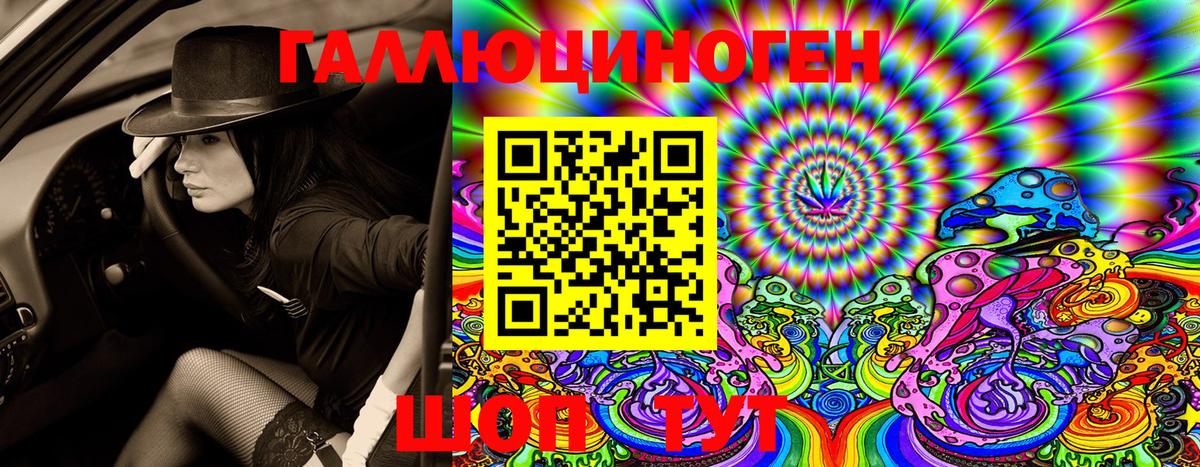Псилоцибиновые грибы мицелий  наркота  Выборг  Вход с VPN 